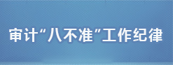 审计“八不准”工作纪律